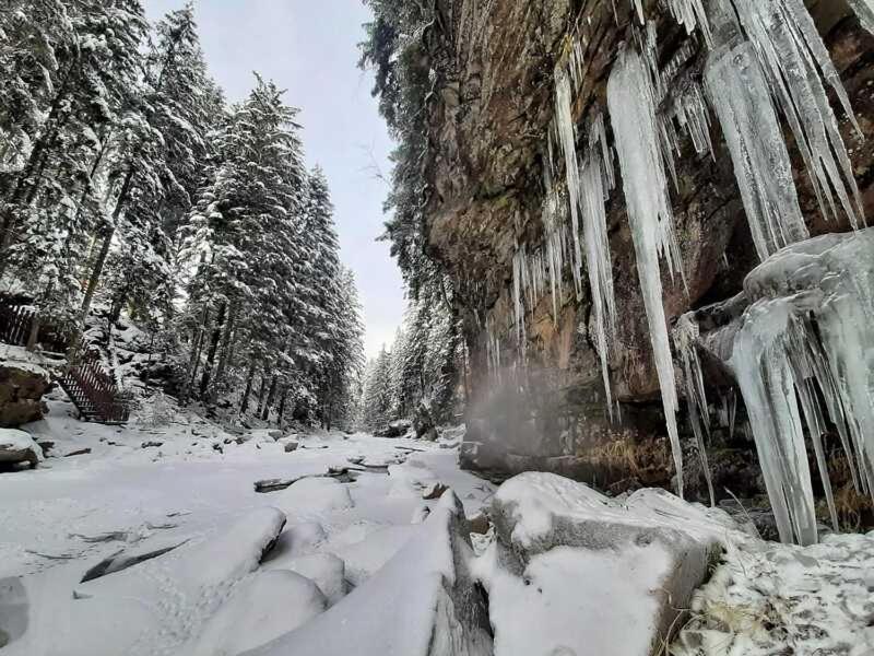 Котедж Кресаня Микуличин Экстерьер фото
